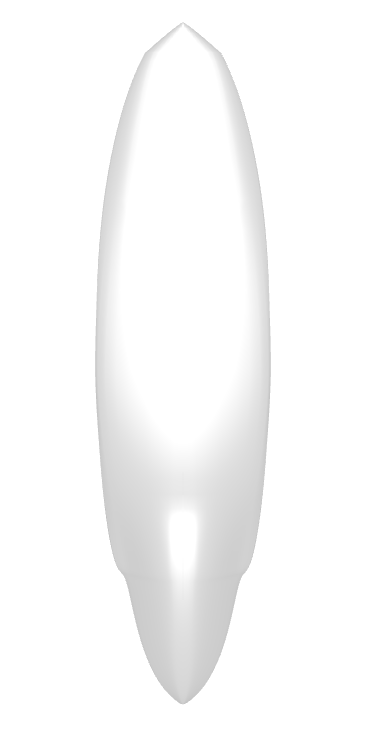 waveski bizarre
